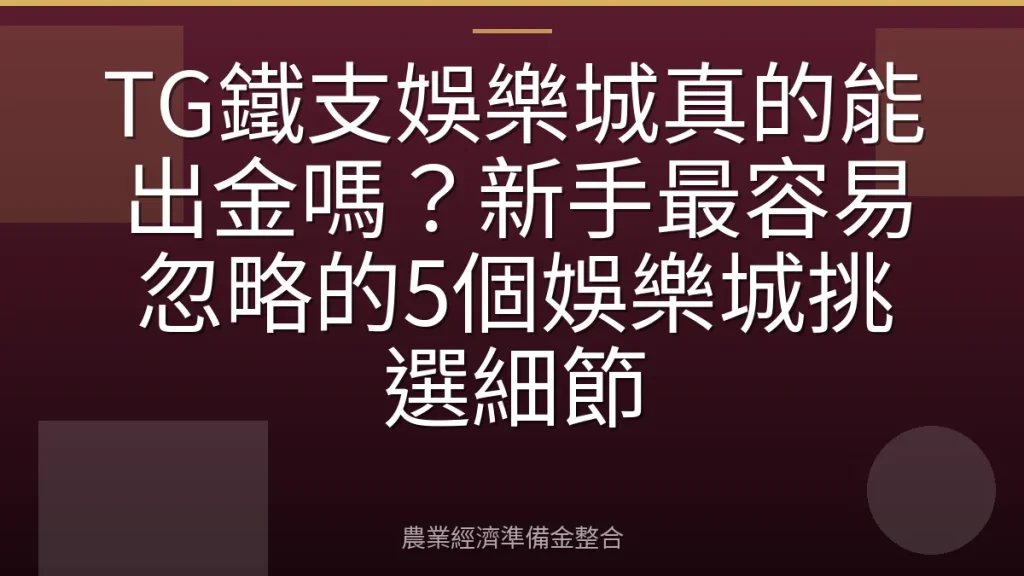 TG鐵支娛樂城真的能出金嗎？新手最容易忽略的5個娛樂城挑選細節