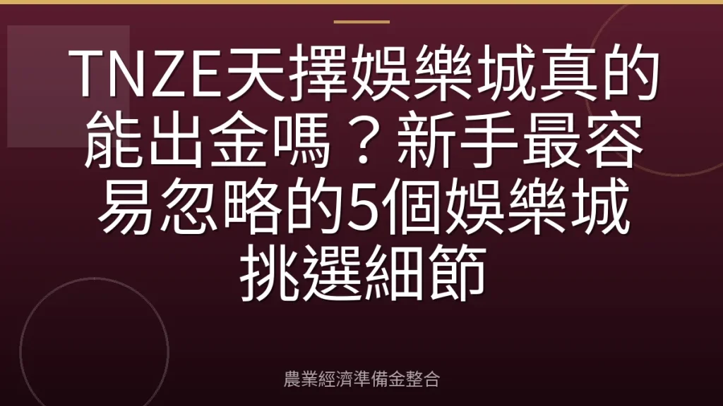 TNZE天擇娛樂城真的能出金嗎？新手最容易忽略的5個娛樂城挑選細節