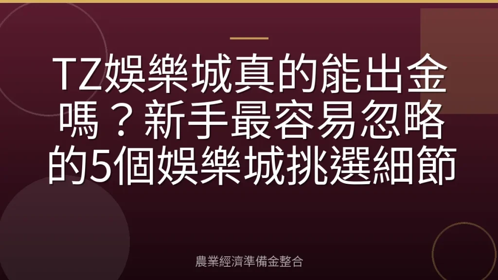 TZ娛樂城真的能出金嗎？新手最容易忽略的5個娛樂城挑選細節