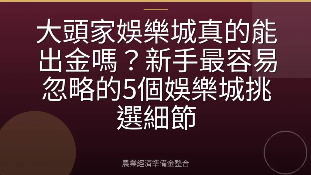 大頭家娛樂城真的能出金嗎？新手最容易忽略的5個娛樂城挑選細節