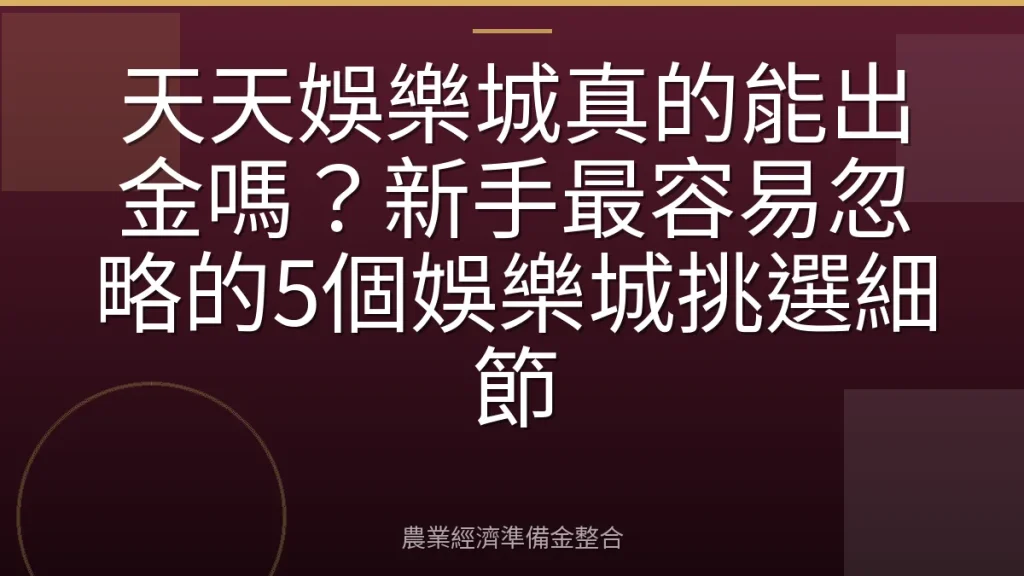 天天娛樂城真的能出金嗎？新手最容易忽略的5個娛樂城挑選細節