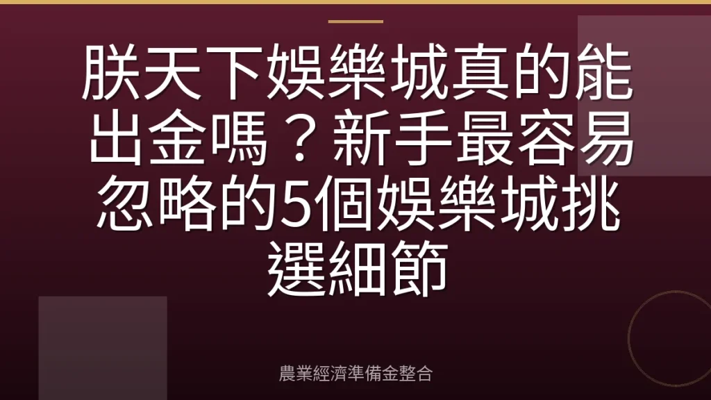 朕天下娛樂城真的能出金嗎？新手最容易忽略的5個娛樂城挑選細節