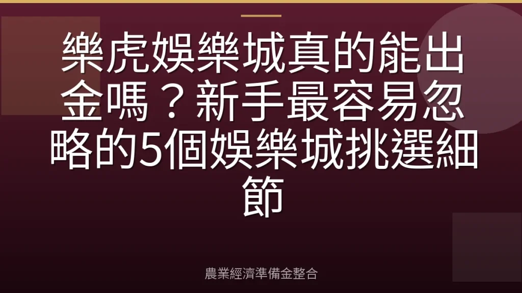 樂虎娛樂城真的能出金嗎？新手最容易忽略的5個娛樂城挑選細節