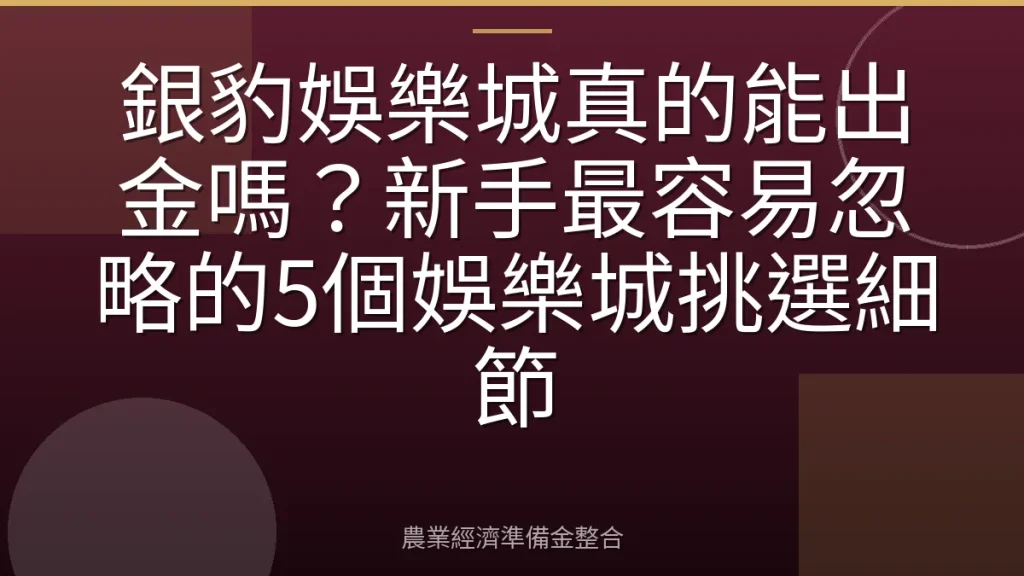 銀豹娛樂城真的能出金嗎？新手最容易忽略的5個娛樂城挑選細節