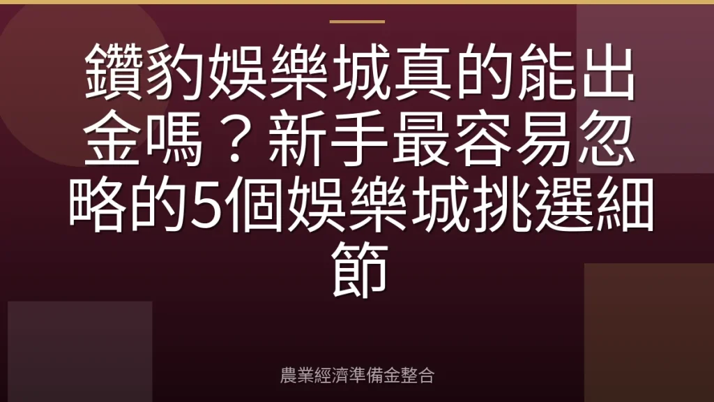 鑽豹娛樂城真的能出金嗎？新手最容易忽略的5個娛樂城挑選細節