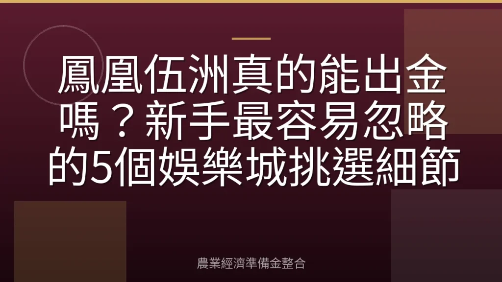 鳳凰伍洲真的能出金嗎？新手最容易忽略的5個娛樂城挑選細節